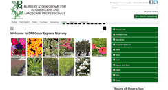 Desktop Screenshot of dmcolorexpress.net