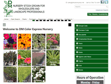Tablet Screenshot of dmcolorexpress.net